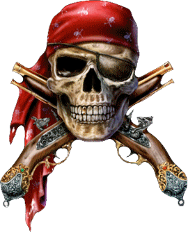 crane-pirate-os-pistolet-030109.gif